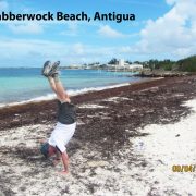 2015 ANTIGUA Jabberwock Beach 2